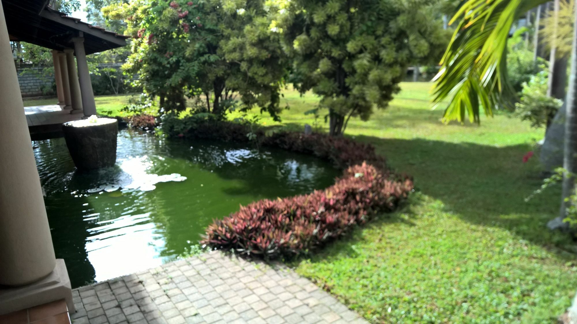 Tropical Villas Negombo Exterior foto